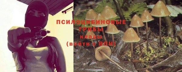 МДПВ Верхнеуральск