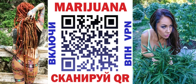 Канабис гибрид  Новоржев 